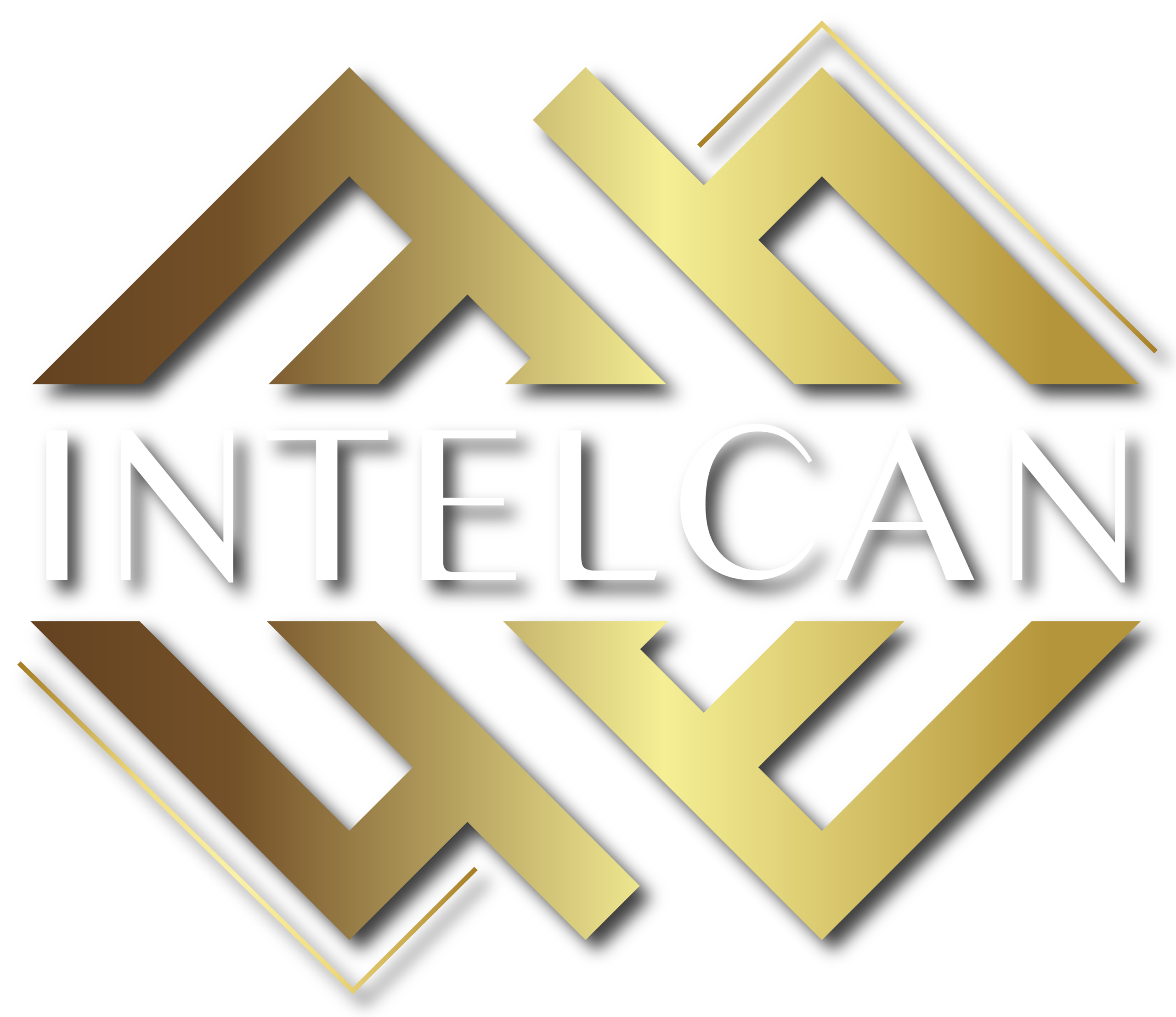 Intelcan Holding